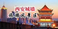 打炮波波中国陕西-西安城墙旅游风景区